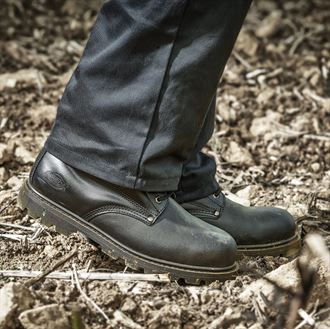 Dickies Werkschoenen SBP scherpe prijzen