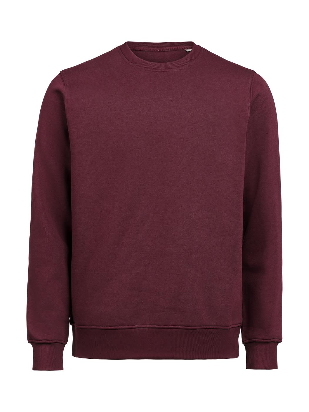 Heren Sweater Clique Regular Fit 3430010 Prune