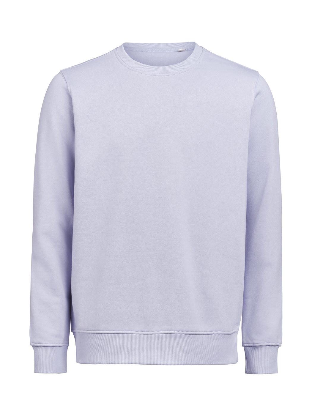 Heren Sweater Clique Regular Fit 3430010 Aster