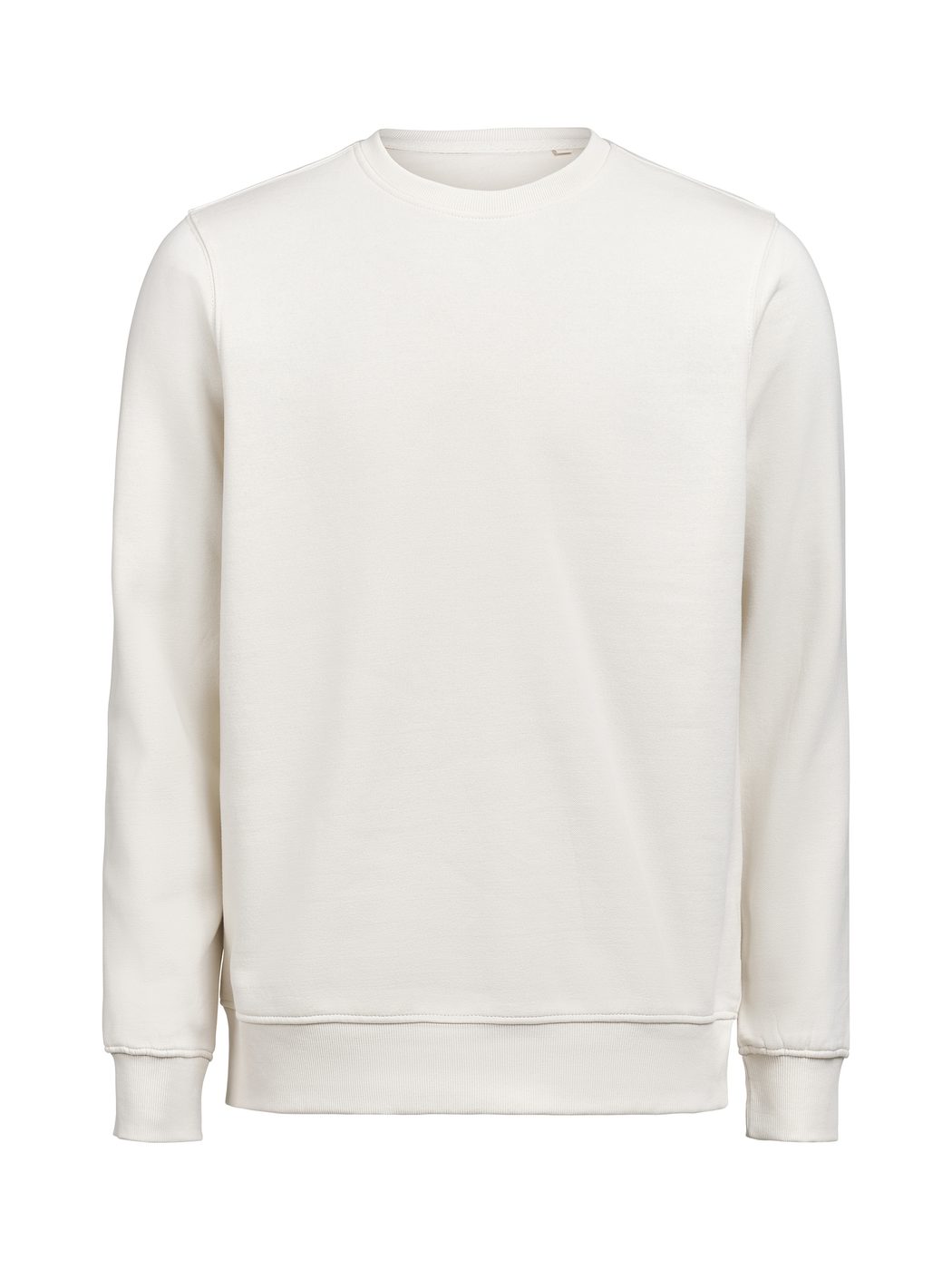 Heren Sweater Clique Regular Fit 3430010 Birch
