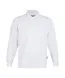 DASSY Polo Sweater LUCID 550002 in DASSY Polo Sweater LUCID 550002 WIT