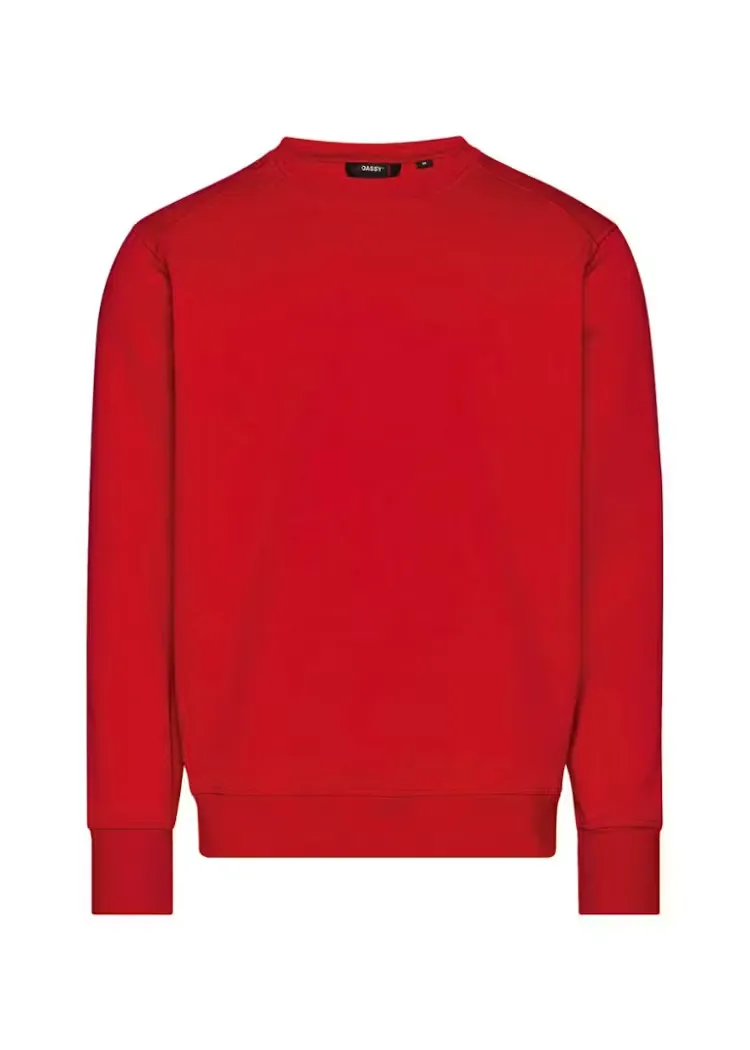 DASSY Sweater FIBRE 300589 in DASSY Sweater FIBRE 300589 ROOD