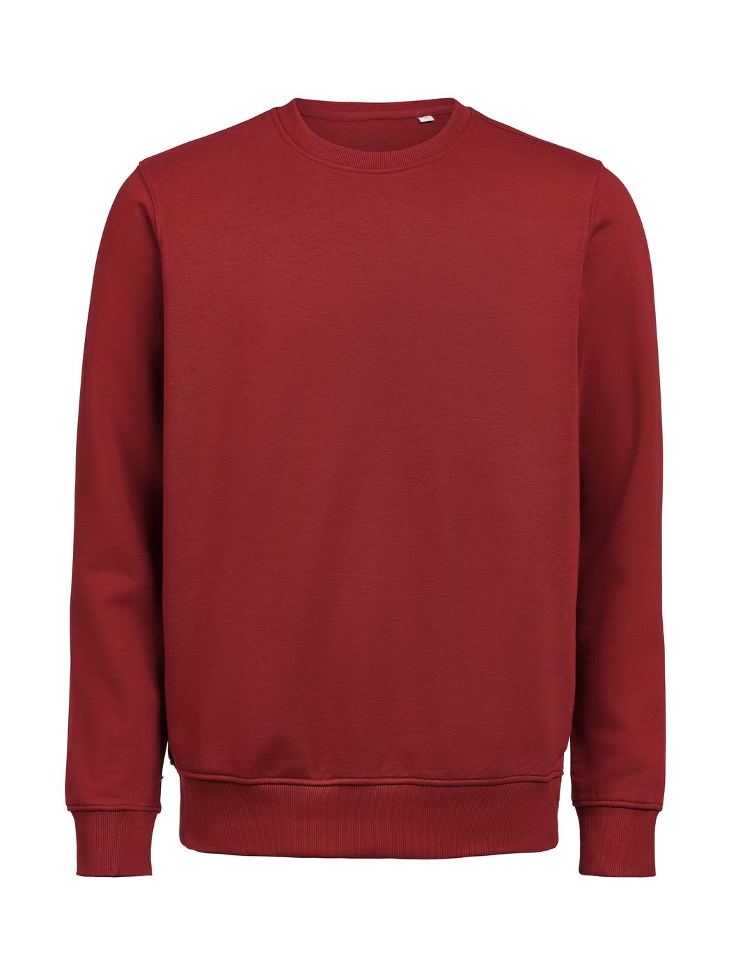 Heren Sweater Clique Regular Fit 3430010 Brick