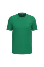 Heren T-shirts Kariban K356 in Heren T-shirts Kariban K356 - Kelly Green