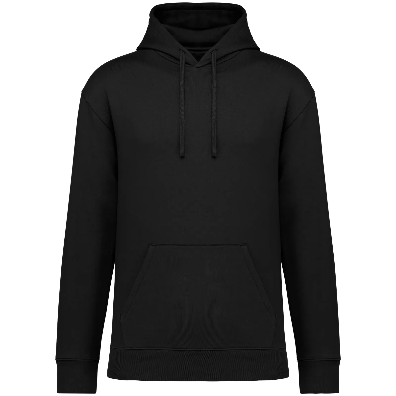 Ecologisch Heren Hoodie Native Spirit NS436 in Ecologisch Heren Hoodie Native Spirit NS436 Black