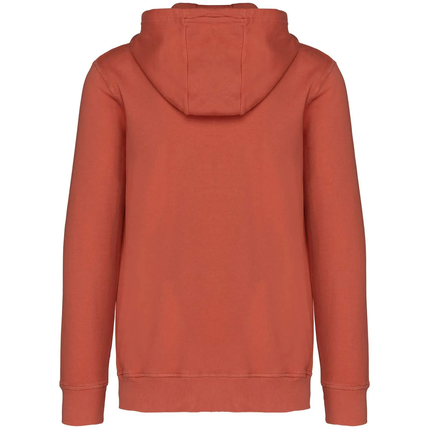 Heren Hoodie Native Spirit Ecologisch NS417 productfoto