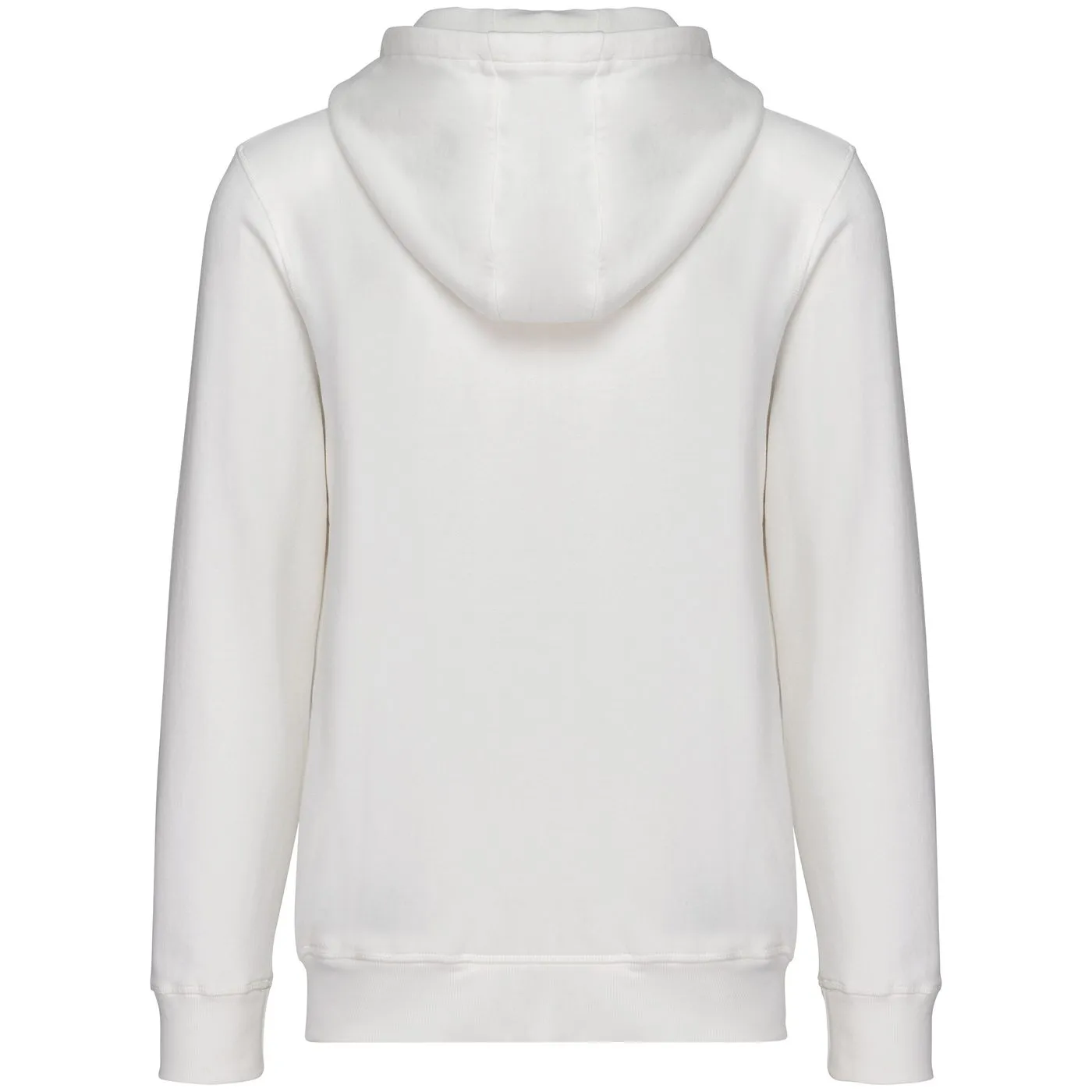 Heren Hoodie Native Spirit Ecologisch NS417 productfoto