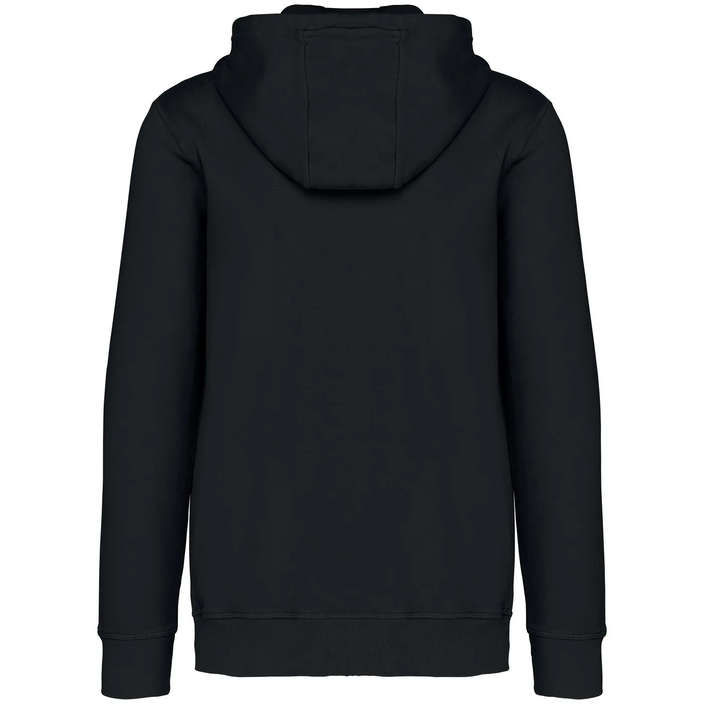 Heren Hoodie Native Spirit Ecologisch NS417 productfoto