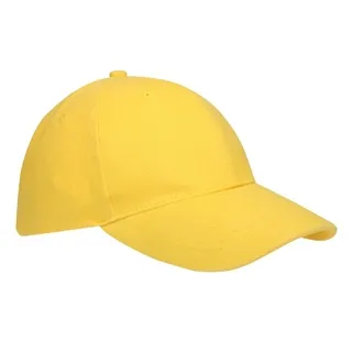 Caps 6 panel Heavy Brushed AR1926 productfoto