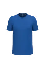 Heren T-shirts Kariban K356 in Heren T-shirts Kariban K356 - Royal Blue