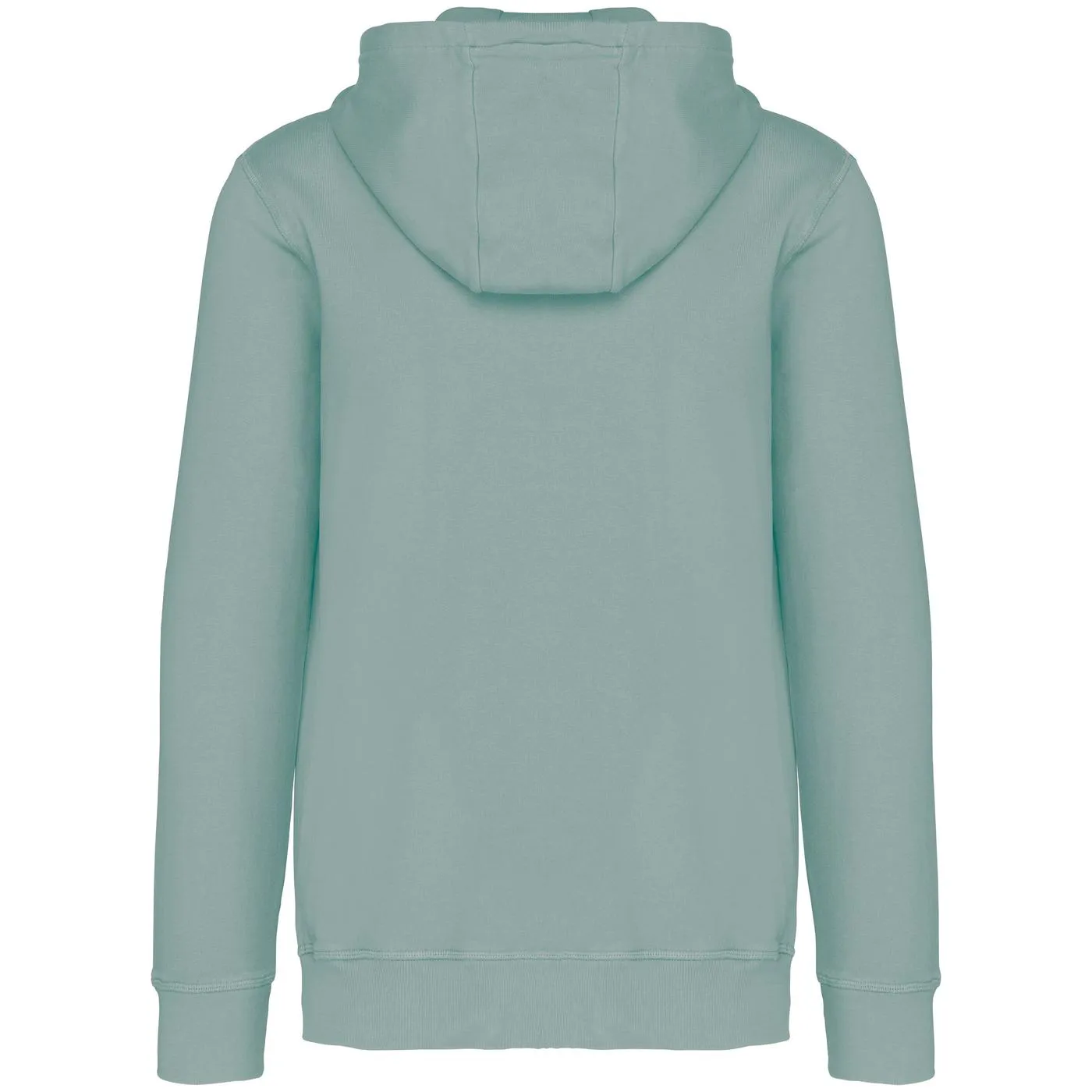 Heren Hoodie Native Spirit Ecologisch NS417 productfoto