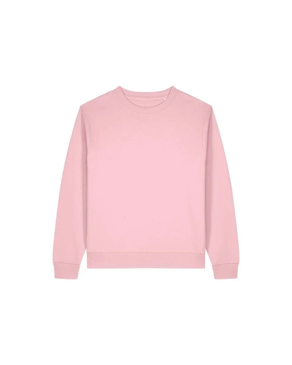 Dames Sweater Stanley Stella Thinker STSW254 productfoto