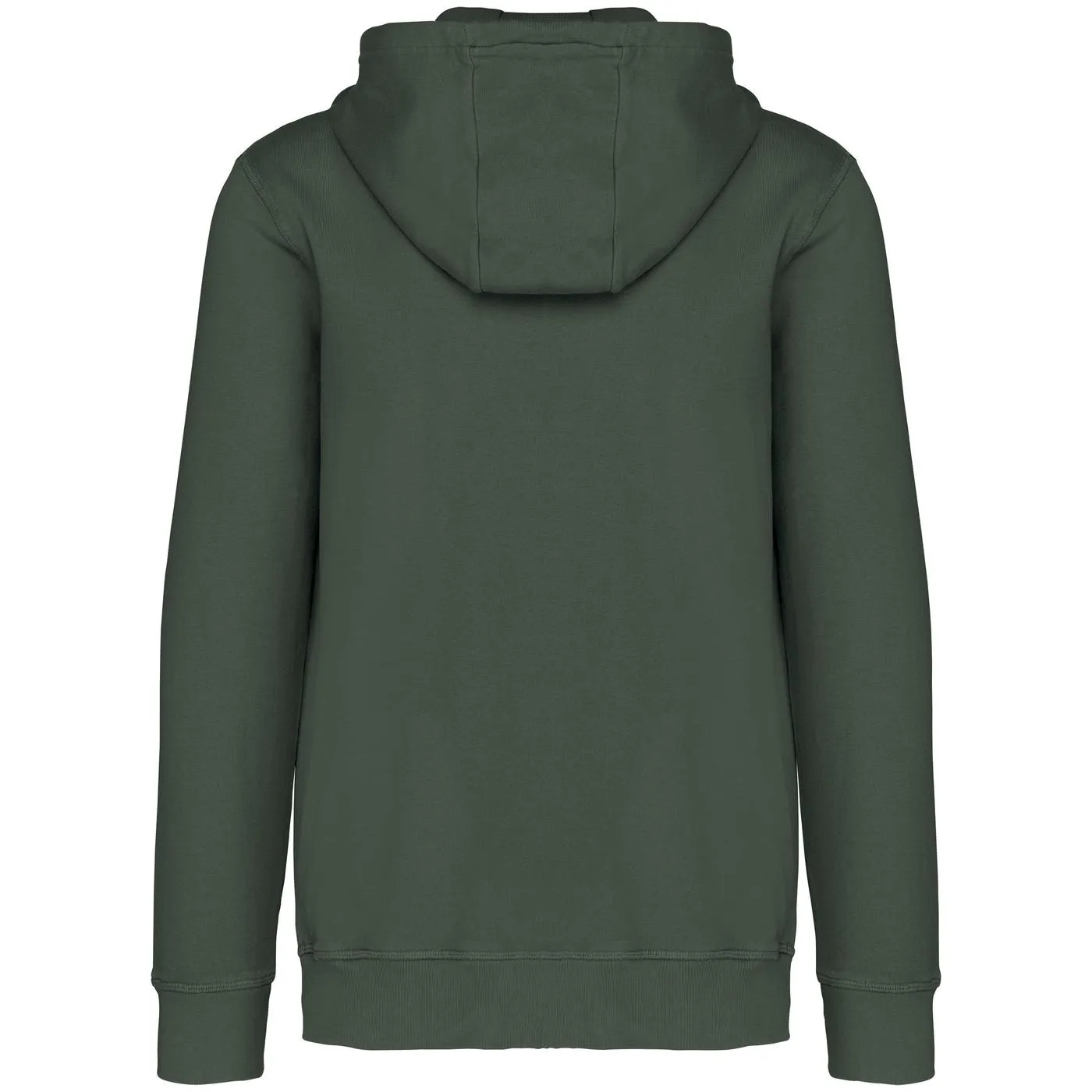 Heren Hoodie Native Spirit Ecologisch NS417 productfoto