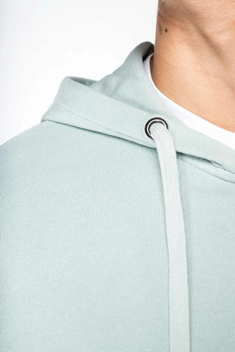 Heren Hoodie Native Spirit Ecologisch NS417 productfoto