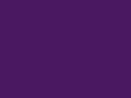 Junior Hoodie Purple