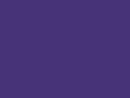 Pom Pom Beanie Purple