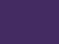 Tactel Mesh Cap Purple