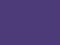 Original Cuffed Beanie Purple