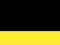 Teamwear Competition Cap Black/Yellow