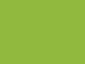 Polo Kiwi Green