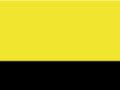 Werkjas Softshell High Visibility Result R476X Fluorescent Yellow-Black