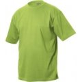 Heren T-shirt Clique Classic-T 029320 Lime Green